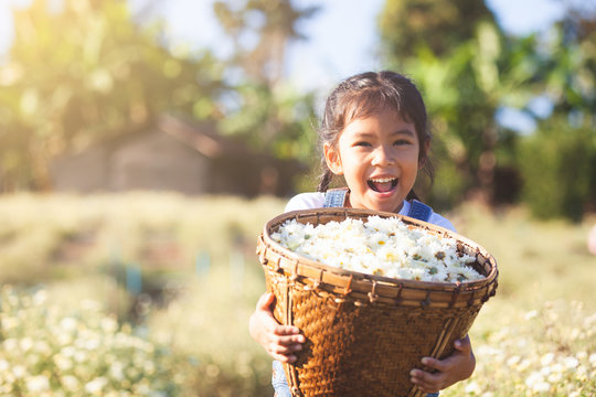 Cute Asian Child Girl Carrying Basket Of Beautiful Flower In The Flower Field With Happiness