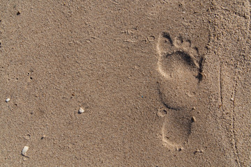 footprints in the sand