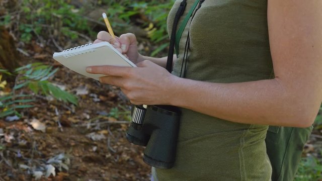 Tilt down of female birdwatcher writing with pencil in notebook.