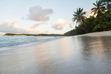 tropical peaceful beach with palm trees