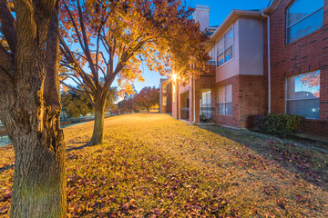 Beautiful view from backyard of apartment complex building at evening time during fall season. Pile of dried leaves on grass lawn and bright yellow fall foliage - Powered by Adobe