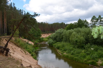 Fototapeta na wymiar Forest and river