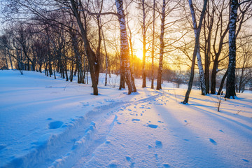 Colorful sunset in countryside at winter