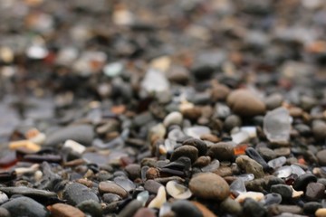 Beach Rocks