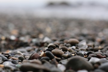 Sea Glass on the beach