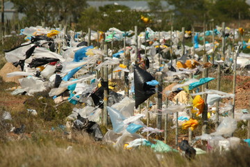 Say no to single-use plastics picture showing plastic packets blowing against a fence.