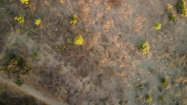 Aerial fly over of dry desert land and plants.