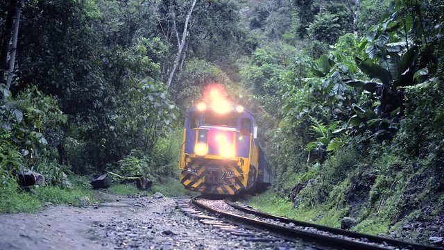 train with switched lights moving in tropical forest by twilight