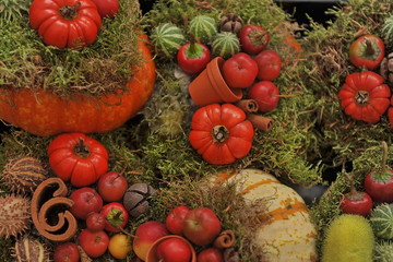 Art composition consisting of vegetables.