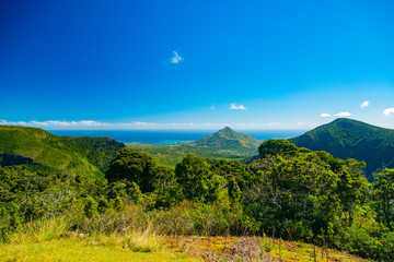 Fototapeta premium Ile Maurice - Parc National des Gorges de Rivière Noire - Point de vue