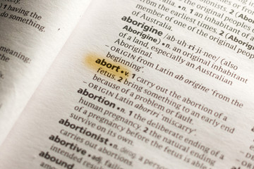 Obraz premium The word or phrase Abort in a dictionary.