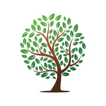 Circle tree logo design