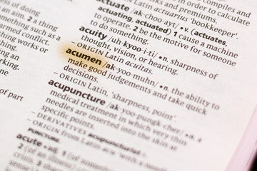 The word or phrase Acumen in a dictionary.