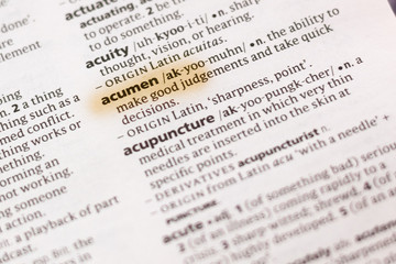 The word or phrase Acumen in a dictionary.