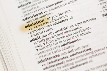 The word or phrase Adulation in a dictionary.
