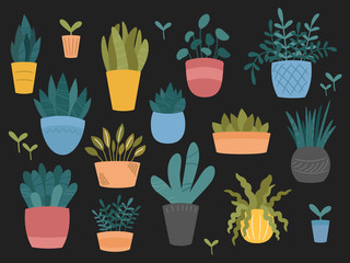 Set of indoor and outdoor decorative garden potted plants. Collection of flower pots of different shapes. Hand drawn cartoon, Scandinavian Hygge style.Vector illustration isolated on dark background