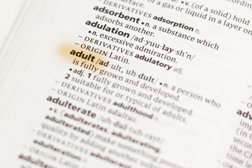 The word or phrase Adult in a dictionary.