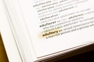 The word or phrase Adultery in a dictionary.