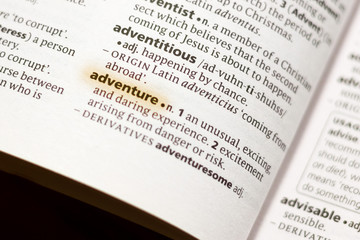 The word or phrase Adventure in a dictionary.