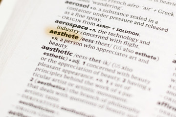 The word or phrase Aesthete in a dictionary.
