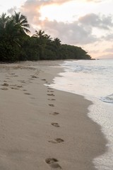 Footprints on tropical peaceful beach with palm trees