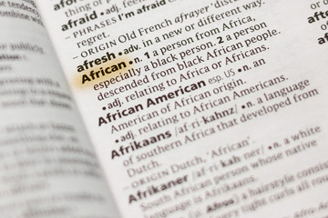 The word or phrase African in a dictionary.