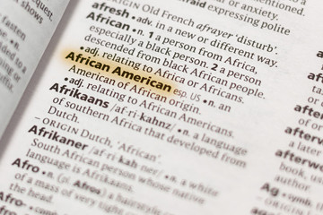 The word or phrase African American in a dictionary.