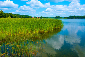 Panoramic view of Wulpinskie Lake at the Masuria Lakeland region in Poland in summer season