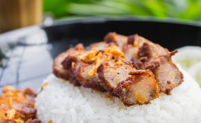 Thai Food Fried Pork with Garlic and Cucumber and Latte Coffee on Green Tree Background