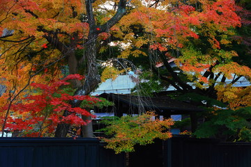 紅葉の角館