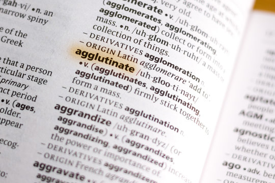 The word or phrase Agglutinate in a dictionary.