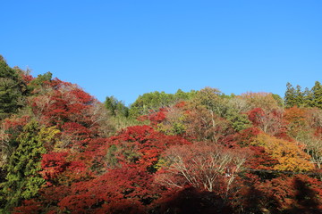 香嵐渓