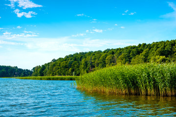 Panoramic view of Wulpinskie Lake at the Masuria Lakeland region in Poland in summer season © Art Media Factory