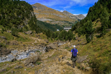 Naklejka na ściany i meble walking in the Pyrenees