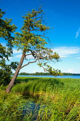 Panoramic view of Wulpinskie Lake at the Masuria Lakeland region in Poland in summer season © Art Media Factory