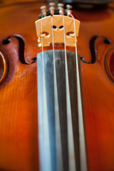Violin Bridge