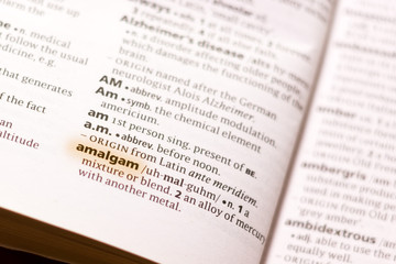 The word or phrase Almagam in a dictionary.