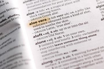 The word or phrase Aloe Vera in a dictionary.