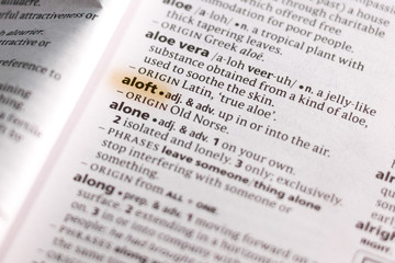 Obraz premium The word or phrase Aloft in a dictionary.
