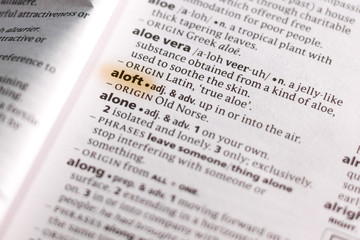 The word or phrase Aloft in a dictionary.