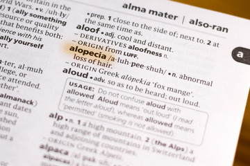 The word or phrase Alopecia in a dictionary.