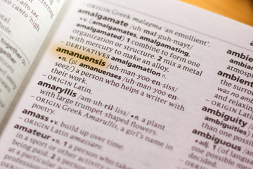 The word or phrase Amanuensis in a dictionary.