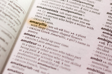 The word or phrase Amaryllis in a dictionary.
