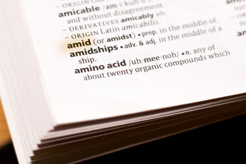 The word or phrase Amid in a dictionary.