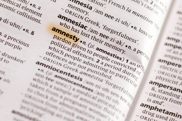 The word or phrase Amnesty in a dictionary.