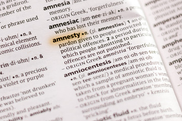 The word or phrase Amnesty in a dictionary.