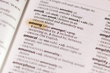 The word or phrase Among in a dictionary.
