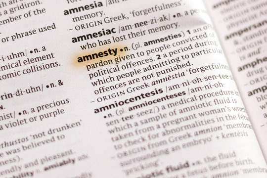The word or phrase Amnesty in a dictionary.