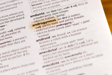 The word or phrase Androgynous in a dictionary.
