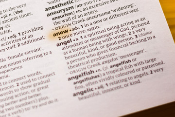 The word or phrase Anew in a dictionary.